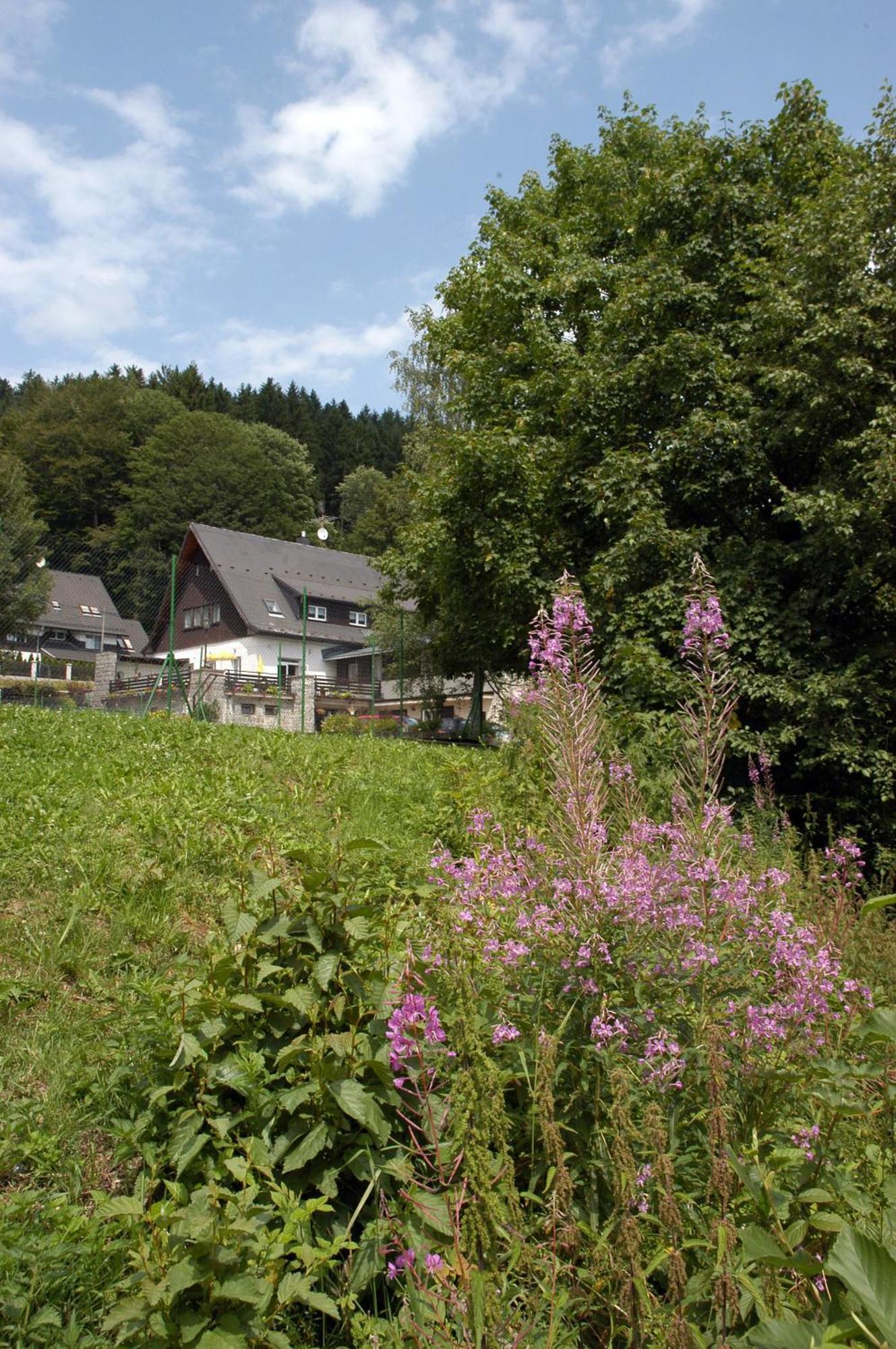 Penzion Bobesova Bouda Železná Ruda Exterior foto